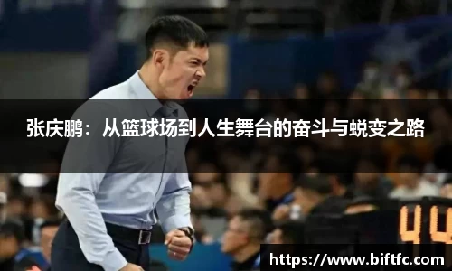 bsports官网入口