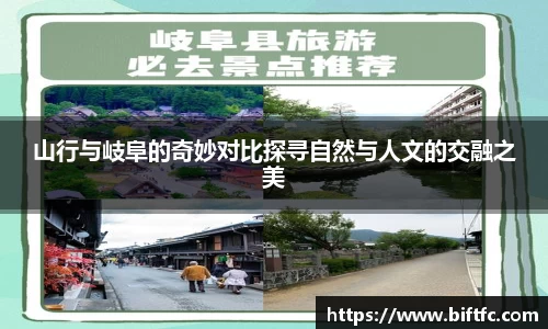 bsports官网入口
